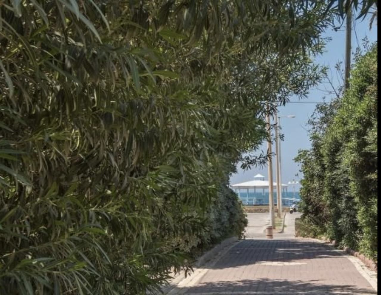 סטודיו זוגי סטנדרטי