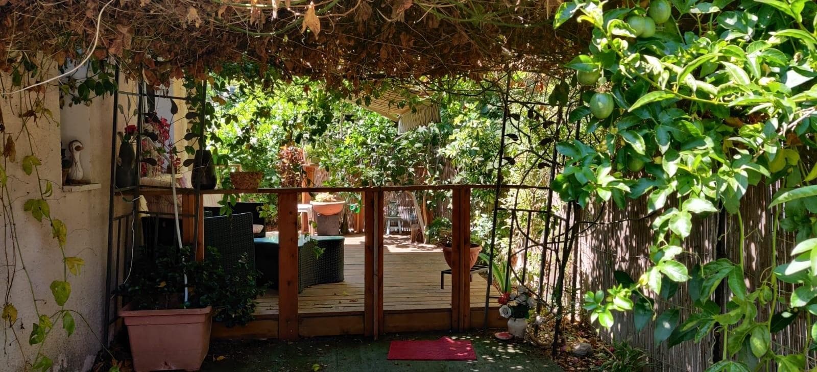 צימר ביו בכפר