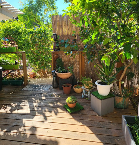 צימר ביו בכפר